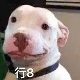 微信公众号吃瓜娱乐圈,揭秘明星幕后故事