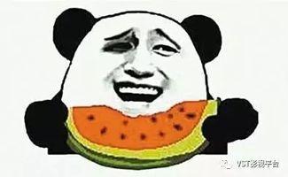 娱乐吃瓜君喷水头飞天