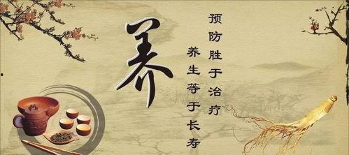 娱乐吃瓜酱中医养生小说,中医养生小说中的趣味人生